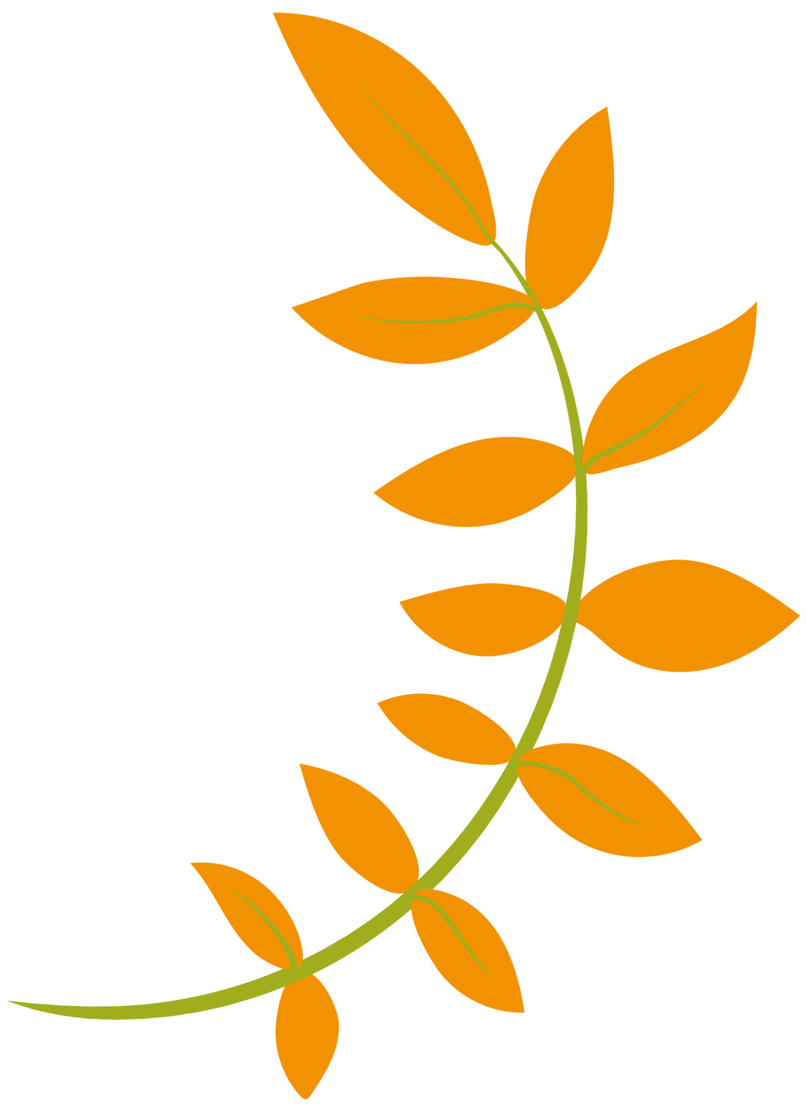 nutringenias elementos de marca_39