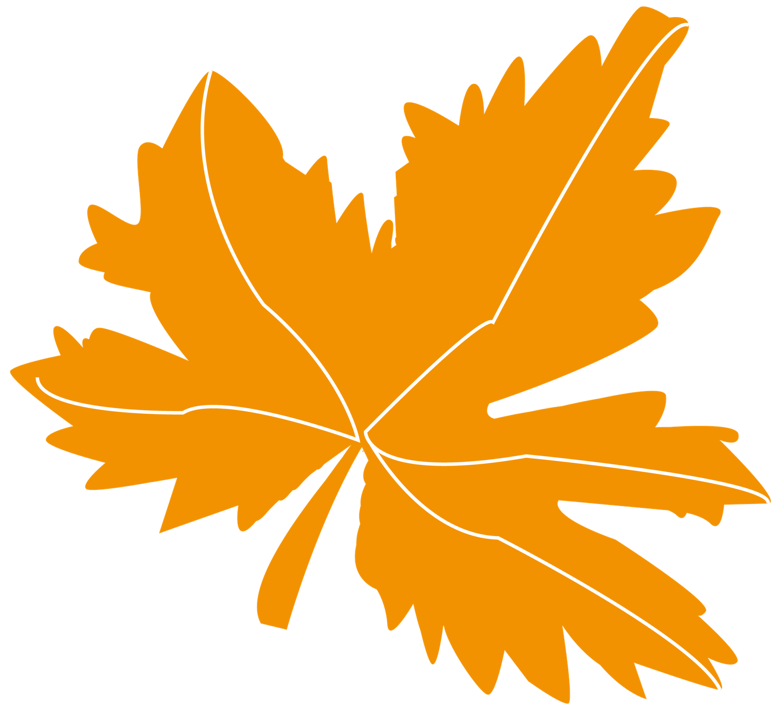 nutringenias elementos de marca_5